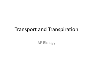 Plant Transport and Transpiration