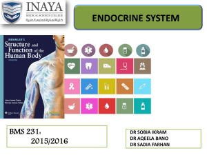 lect - 13 endocrine system