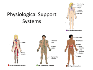 Physiological Support Systems