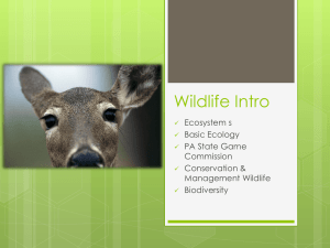 Wildlife - WestEnvirothon