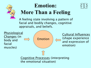 Emotion: More Than a Feeling