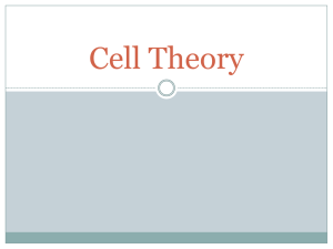 Cell Theory Notes