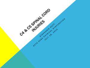 C4 & c5 spinal cord injuries - Stephanie Huff's ePortfolio