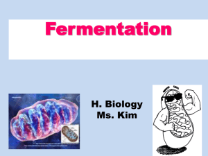 Fermentation - Ms Kim's Biology Class