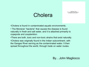 Cholera - St. Mary