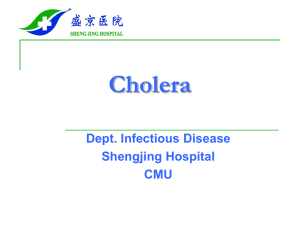 Cholera Definition