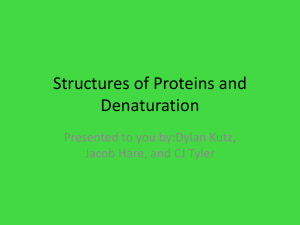 Structures of Proteins and Denaturation