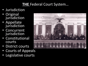 THE Federal Court System