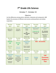 Cell Processes - Shepherd School District