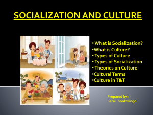 Socialisation and Culture