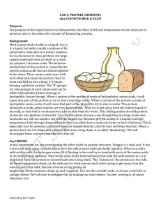 Protein Lab 2012 WORD