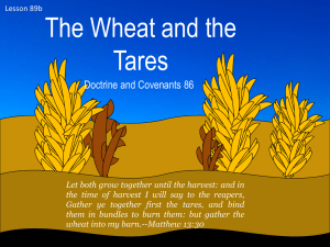 Lesson 89b D&C 86 the wheat and the tares Power Pt
