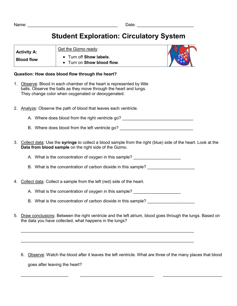 student-exploration-circulatory-system-answer-key