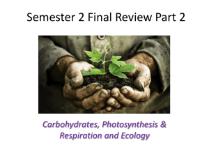 Semester 2 Final Review Part 2