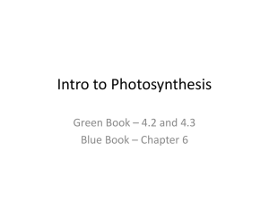 Intro to Photosynthesis