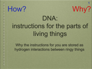 DNA: instructions for the parts of living things