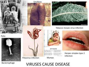 Enveloped virus