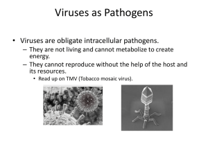Viruses as Pathogens