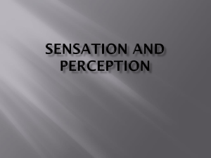 SENSATION AND PERCEPTION Powerpoint