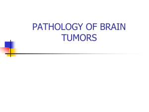 pathology of brain tumors