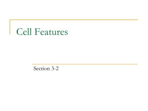Cell Features