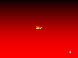 DNA-I-13-ques
