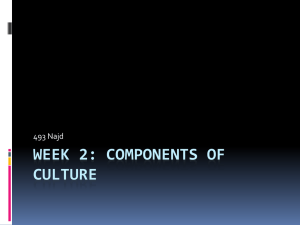Week 2: Components of Culture