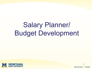 FY11 Salary Planner/Budget Development PowerPoint