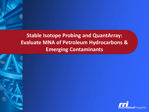 stable isotope probing (sip) and quantarray to evaluate the feasibility