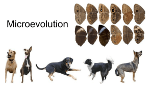 Microevolution