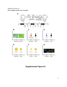 Supplemental Figure S1: RNA sampling and diversity of samples