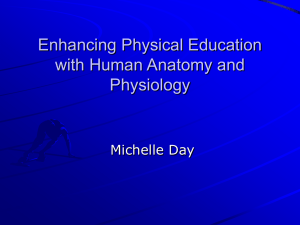 Enhancing Physical Education with Human Anatomy and Physiology