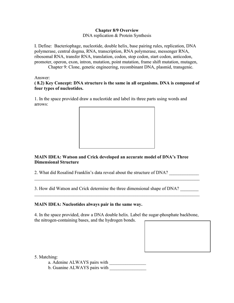 Chapter 8/9 Overview DNA replication & Protein Synthesis I. Define