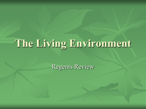 The-Living-Environment-review