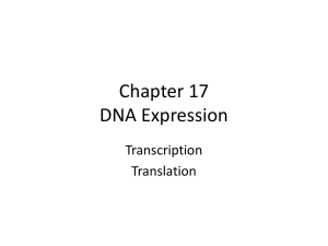 gene expression ppt