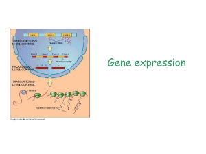 Basics of gene expression