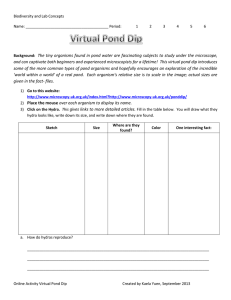 BioD Online Activity Virtual Pond Dip