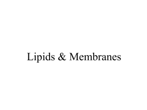 Lipids are non