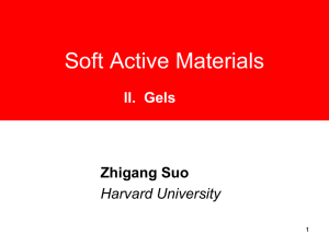 2010 05 10 soft active materials II. gels