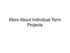 More About Individual Term Projects