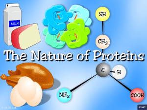 3.the nature of proteins