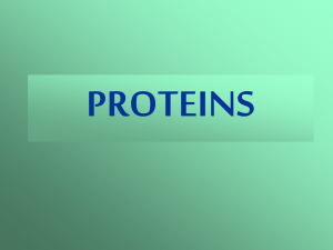 proteins - carverbiology12