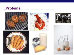 Proteins - REVISION-IB2