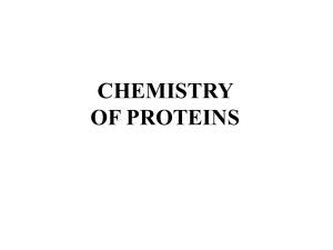 lec 2 chemistry of proteins