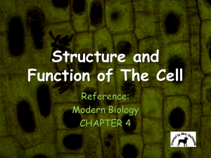 Structure and Function of The Cell