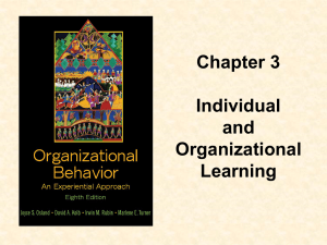 Individual and Organizational Learning