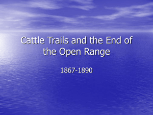 Cattle Trails