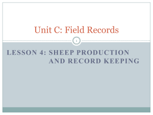 SheepProductionRecordKeeping-English