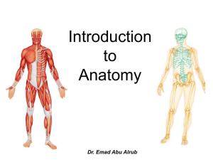 1439573131-1 Introduction to Anatomy_human