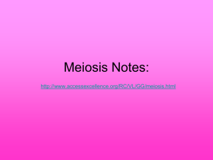 Meiosis Notes: